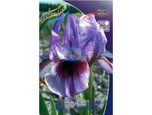 64,55���. ���� (pumila) �� ��(�������� ���� �� 2 ��., ����������� ����� 1��.).jpg