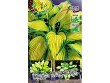 180���. ����� ����� ��������(�������� ���� �� 1 ��., ����������� ����� 1��.).jpg