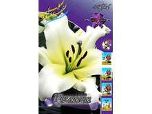 29,87���. ����� �������(��� 7 ��. ���������� �� 2��.).jpg