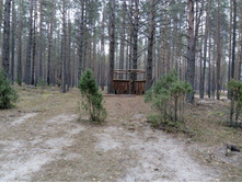 IMG 20161029 080835.jpg