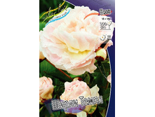 162,6���. ���� ����� �����(�������� ���� �� 1 ��., ����������� ����� 1��.).jpg