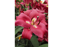 40,8���. ����� ��� ����(��� 5 ��. ���������� �� 2��.).jpg