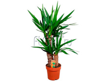 ���� 2���. 17�85. 847,35 ���.jpg