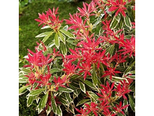 148���. ������ �������� ������� �������.jpg