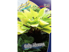 268,5���. ����� ���� ������(�������� ���� �� 1 ��., ����������� ����� 1��.).jpg