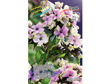 78,15���. ����� NEON ������ �����(�������� ���� �� 2 ��., ����������� ����� 1��.).jpg