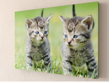 ��ԣ��� 1-1.jpg