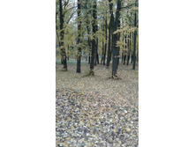 20160929 123344.jpg