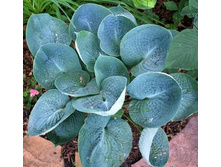 ��� ���,150�