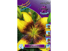 26,5���. ����� ��������(��� 7 ��. ���������� �� 2��.).jpg