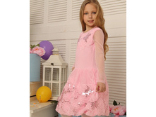 ������ � ������� ������� "��������" (5050)