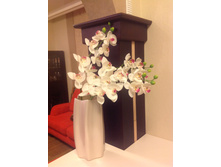 ����� � ����