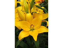 19,07���. ����� ��������(��� 7 ��. ���������� �� 2��.).jpg