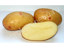 ������� (�����) 50���. �� 1��.jpg