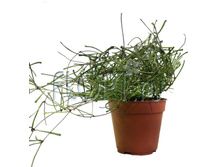 ���� ������ 12�20. 578,34 ���.jpg