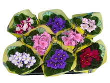 ������ ���� 12�20. 109,88 ���.jpg