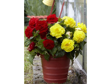 51,3���. ������� ���� №1(�������� ���� �� 2 ��., ����������� ����� 1��.).jpg