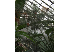 DSCF8093.JPG