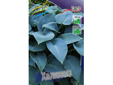 62,35���. ����� �������(�������� ���� �� 2 ��., ����������� ����� 1��.).jpg