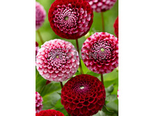 83,5���. �������� ��� � �� ��(�������� ���� �� 1 ��., ����������� ����� 1��.)���16.jpg