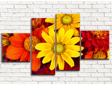 ����� ����� 4-1.jpg