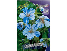 76,6���. �������� ����� �����(�������� ���� �� 2 ��., ����������� ����� 1��.).jpg