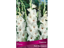 ��������� ���� ����������.jpg