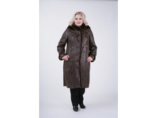 ������� ����������.JPG