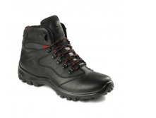 2353-1 thumb 420-b519d.jpg