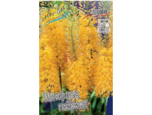 93,95���. ����� �������(�������� ���� �� 2 ��., ����������� ����� 1��.).jpg