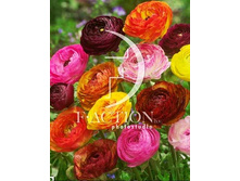 10,1���. ���������� ������ ����(���������� ������ ������ ���������� �� 10 ��.)���17.jpg