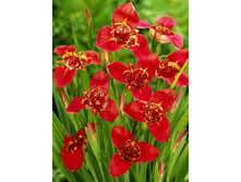 8,05���. �������� ��������(���������� ������ ������ ���������� �� 10 ��.).jpg