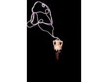 45 ���.������: �����