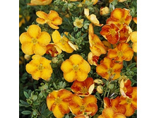 122���. �������� ������������� ��������.jpg