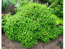 ���� ����������� �����-143�.jpg