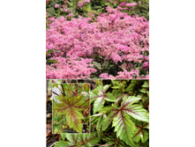 156,3���. �������� ��� ��������(�������� ���� �� 1 ��., ����������� ����� 1��.).jpg