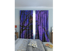 ���������� ����.jpg