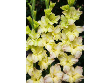 8,53���. ��������� �������(���������� ������ ������ ���������� �� 7 ��.).jpg