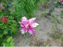DSCN2168.JPG