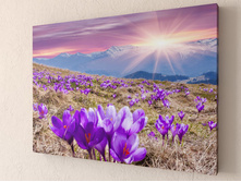 ������� ����� 1-1.jpg