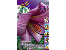 39,96���. ����� ���� ��������(��� 5 ��. ���������� �� 2��.).jpg