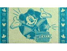 17-170 �� 2602-1739 ��������� 50�90 ������ �������� 174�.jpg