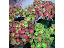 168���. ��������� �������������� ����� ���������.jpg