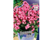 86,05���. ����� ������� ����(�������� ���� �� 2 ��., ����������� ����� 1��.).jpg