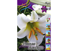 39,96���. ����� ������ �����(��� 5 ��. ���������� �� 2��.).jpg