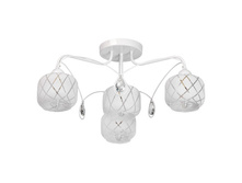 358015504 2100�.jpg