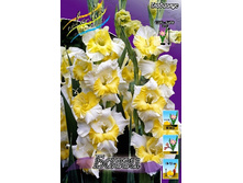 11,87���. ��������� �����(���������� �� ����� �������� �� 7��.).jpg