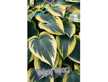 77,3���. ����� ���� �����(�������� ���� �� 1 ��., ����������� ����� 1��.).jpg