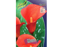 62,35���. ����� �����(�������� ���� �� 2 ��., ����������� ����� 1��.).jpg