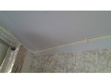 20161025 100419.jpg